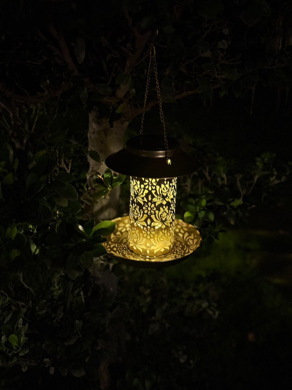 Decorative  Solar lantern