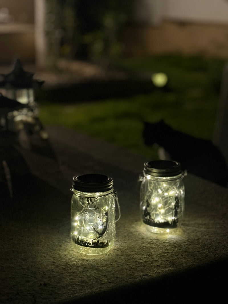 Glass Fairy Elf Mason Jar