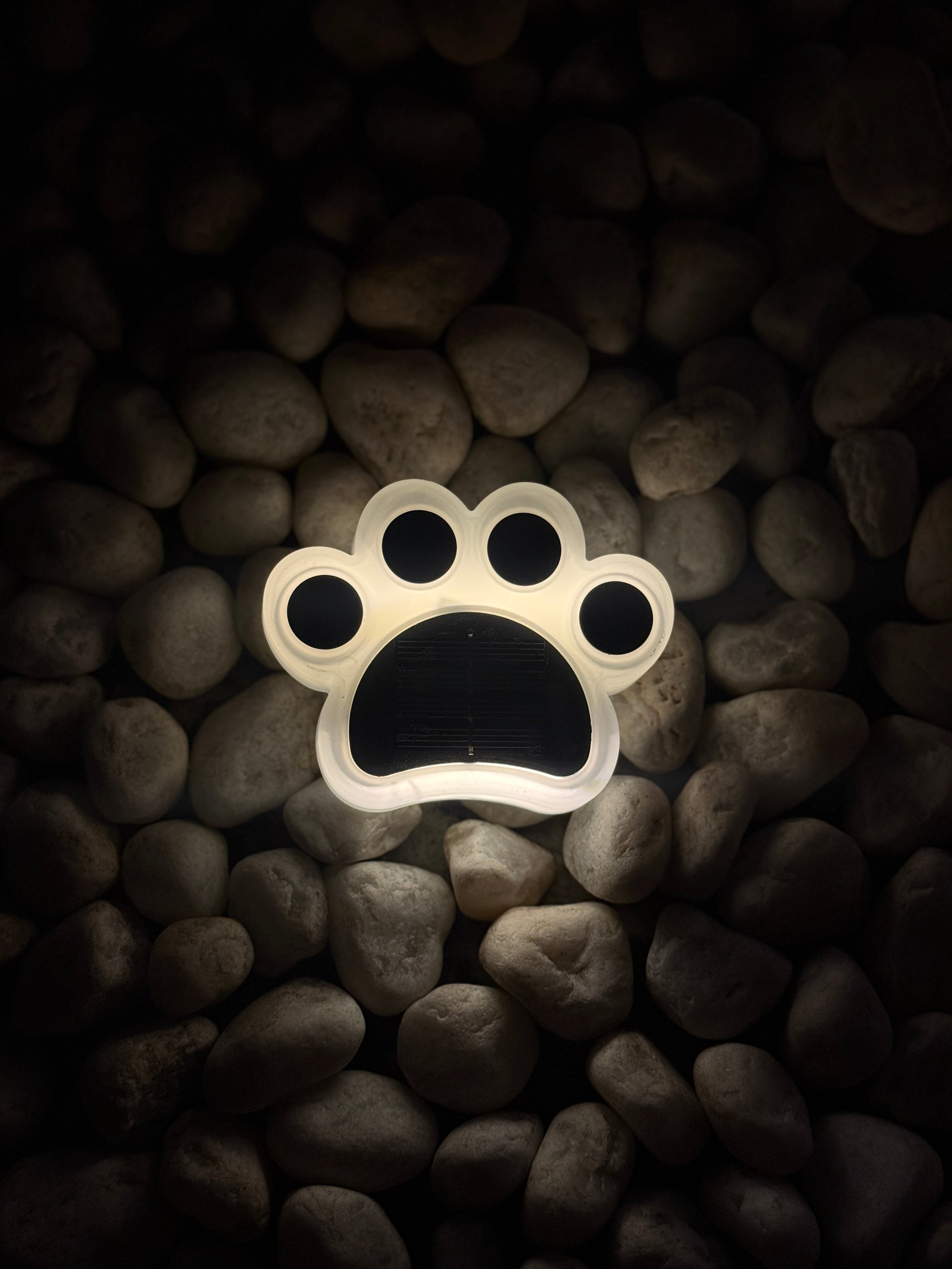 Light-up paw print on a dark pebble background