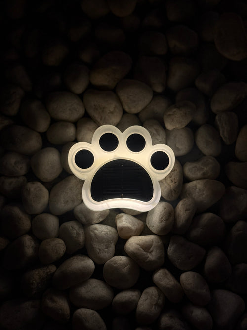 Light-up paw print on a dark pebble background